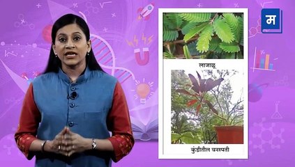 "शालेय अभ्यासाची उजळणी | ६ वी सामान्य विज्ञान - धडा दुसरा - सजीवसृष्टीविषयी माहिती आहे का?