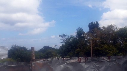 Airbus A321 PT-XPB vindo de Brasília para Manaus