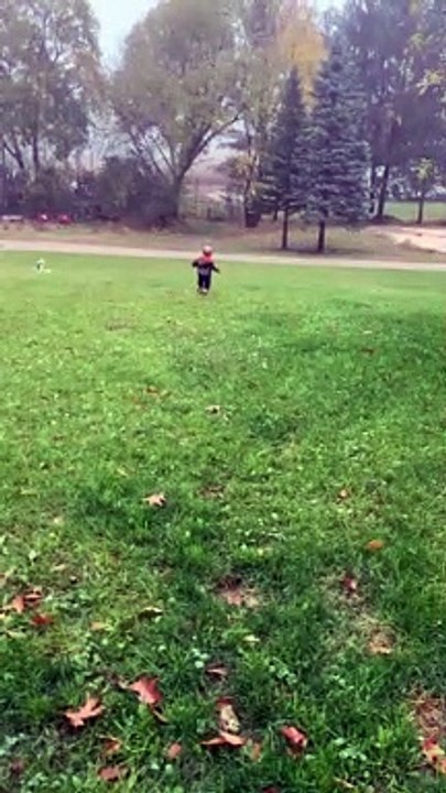 Kitty Knocks Child Over