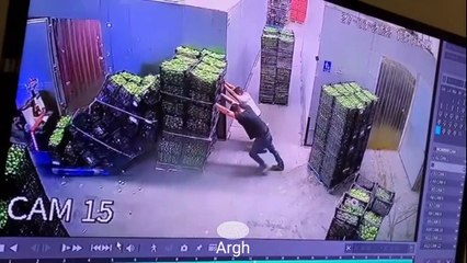 Kompilasi Video Lucu 1 Mei 2022