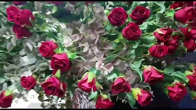 Casamento coletivo é realizado em Cascavel e 142 casais sobem ao altar