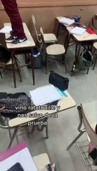 rata heroína entro al aula y los salvo de un examen
