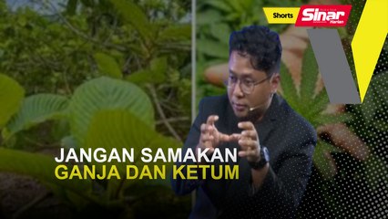 [SHORTS] Jangan samakan ganja dan ketum