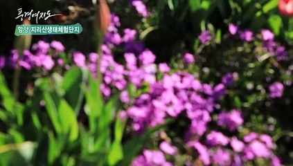 Download Video: [풍경여지도] 지리산 자락에 깃든 향기 - 경남 함양 2부