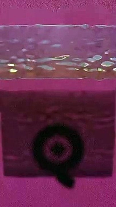 Best Oddly Satisfying Video for Stress Relief #Shorts