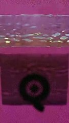 Best Oddly Satisfying Video for Stress Relief #Shorts