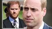Don't do it William! Future King urged to shun Harry and not allow brother back into Firm