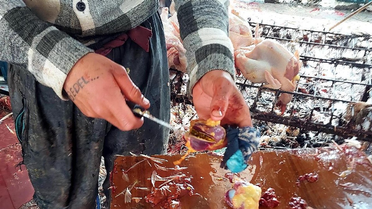 Yoksulun bayram yiyeceği tavuk ve hindi kafaları oldu
