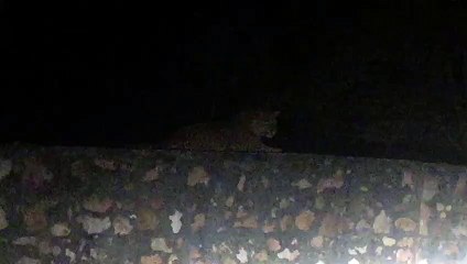 बैडमिंटन कोर्ट बिना उपयोग के हुआ बदहाल