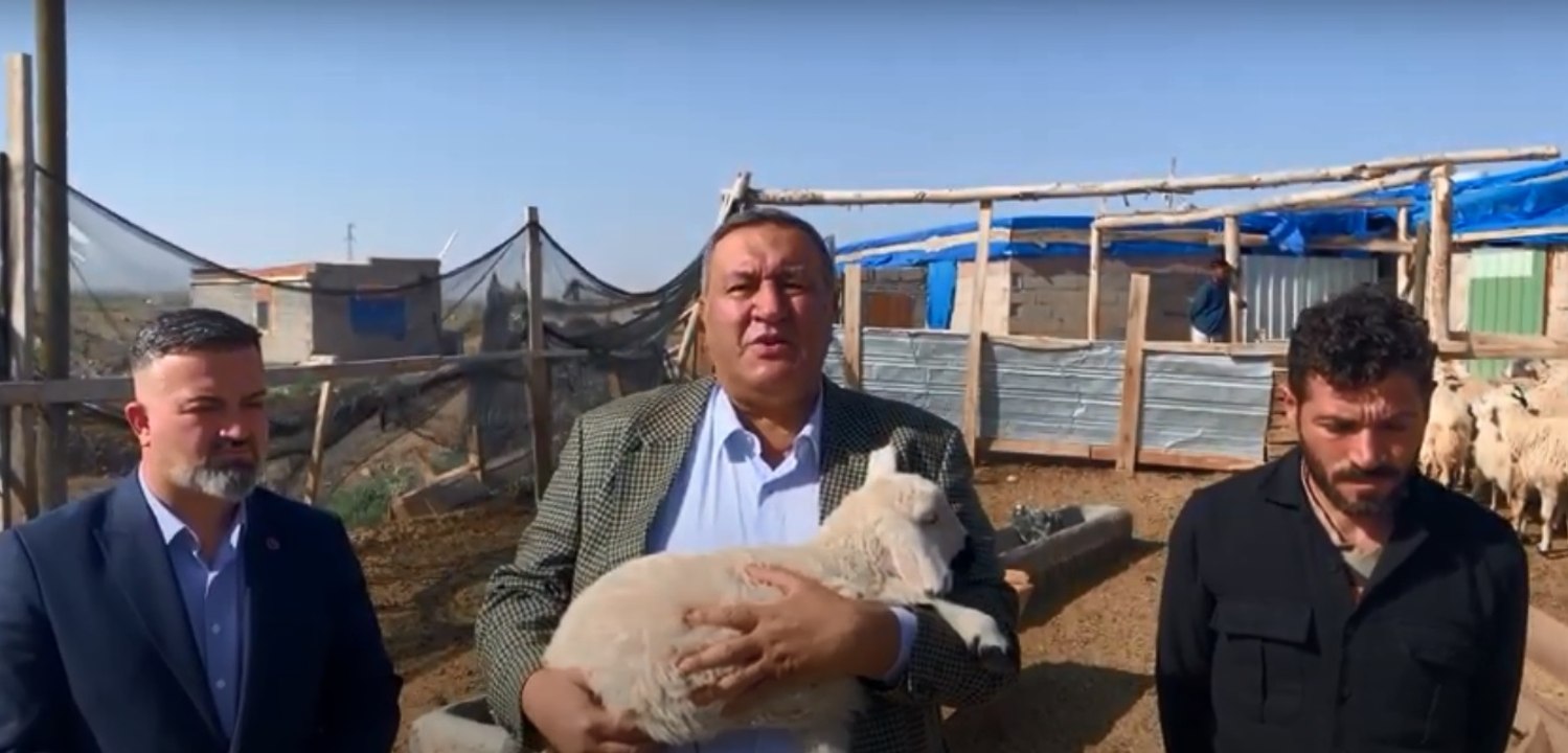 Besici dertli: Hayvanların tamamını satsa bile kredi borcunu ödeyemiyor