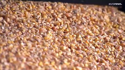 L'Ukraine accuse la Russie de lui voler ses stocks de céréales