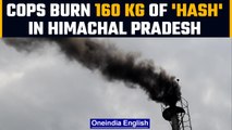 Himachal Pradesh: Cops burn 160 kg of hash worth Rs 16 crore | OneIndia News