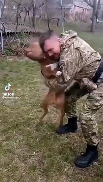 O feliz reencontro de um cão com o dono, um soldado ucraniano