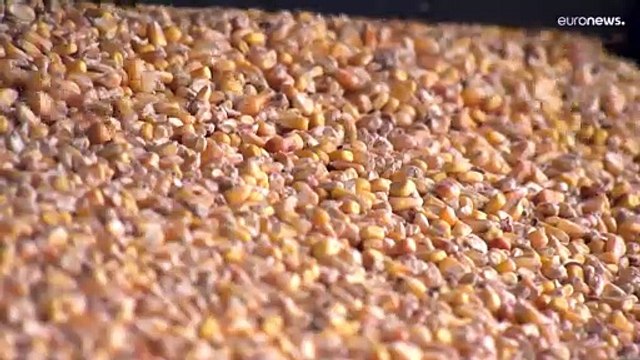 Ucrânia acusa Rússia de estar a roubar milhares de toneladas de cereais