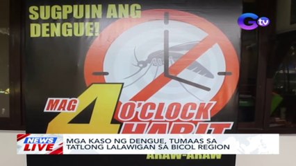 Mga kaso ng dengue, tumaas sa tatlong lalawigan sa Bicol Region | News Live