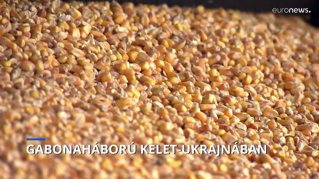 Jelentős mennyiségű gabonát foglaltak le az orosz erők Kijev szerint