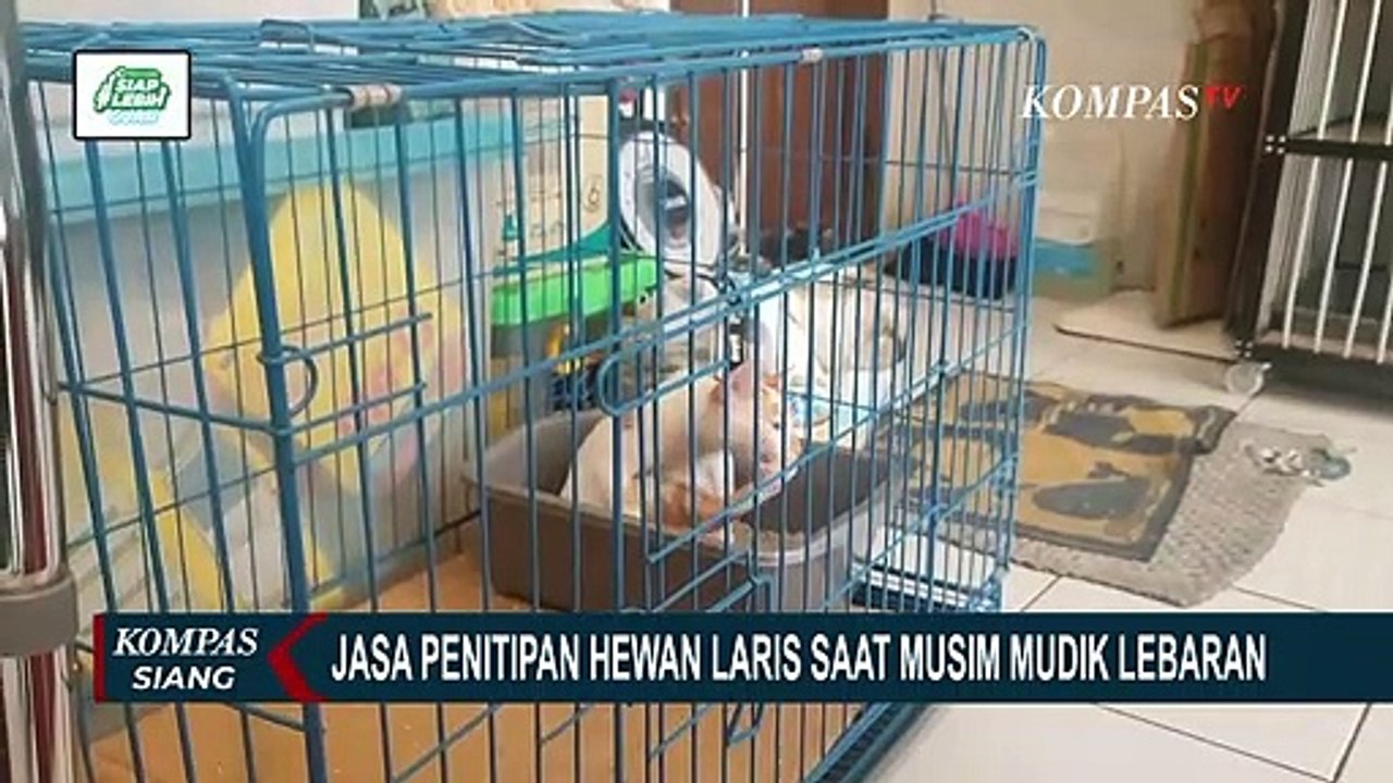 Laris Manis! Jasa Titip Hewan Peliharaan Ramai Pelanggangan Saat Mudik Lebaran