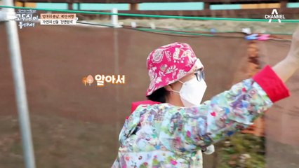 은은한 빛깔 가득한 천, 자연이 주는 선물 '천연 염색'