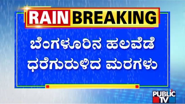 Rain Wreaks Havoc In Bengaluru; Trees Uprooted In Severl Places