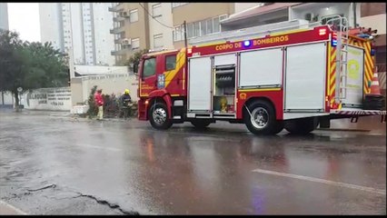 Árvore encharcada cai sobre a via na esquina das ruas Rua Pio XII e Recife