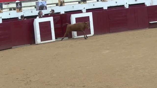 30.04.2022 Soustons Vert Galant Fete de La Marensiña Ganaderia Vert Galant 1e Sortie