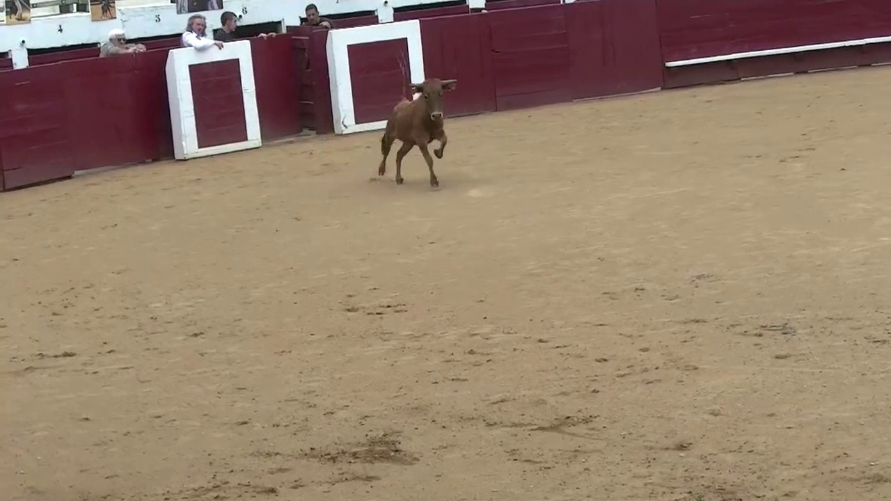 30.04.2022 Soustons Vert Galant Fete de  La Marensiña Ganaderia Vert Galant  3e Sortie