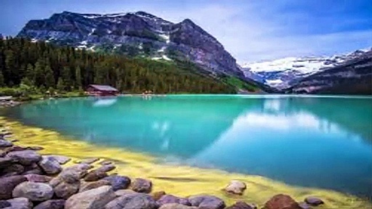 See how the lion flirts with his wife to get her sexual lust انظر كيف يداعب الاسد زوجته لينال منها شهوتة الجنسية