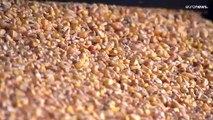 Ucrania denuncia que Rusia ha robado toneladas de trigo poniendo en riesgo la seguridad alimentaria