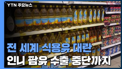 전 세계 식용유 대란...우크라 침공에 인니 팜유 수출 중단 여파까지 / YTN