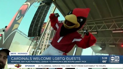 Cardinals select gay flag footballers to announce draft pick
