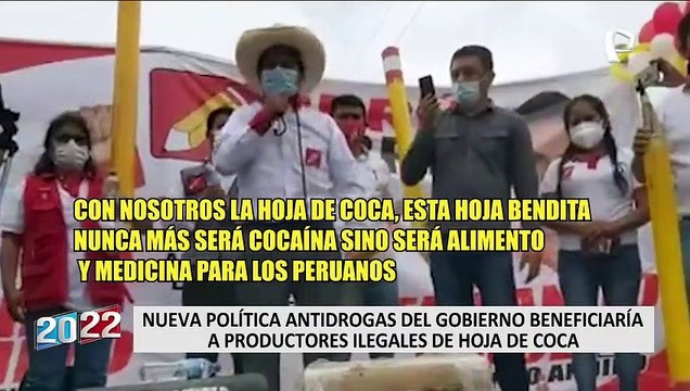 ¿Nueva política antidrogas del Gobierno beneficiaría a productores ilegales de hoja de coca?