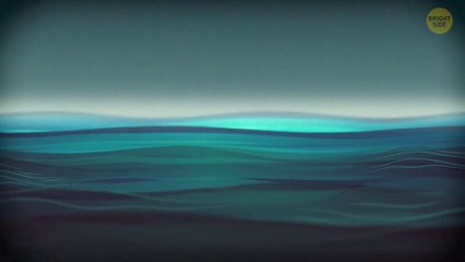 Survivor Shared Unexpected News About the Bermuda Triangle