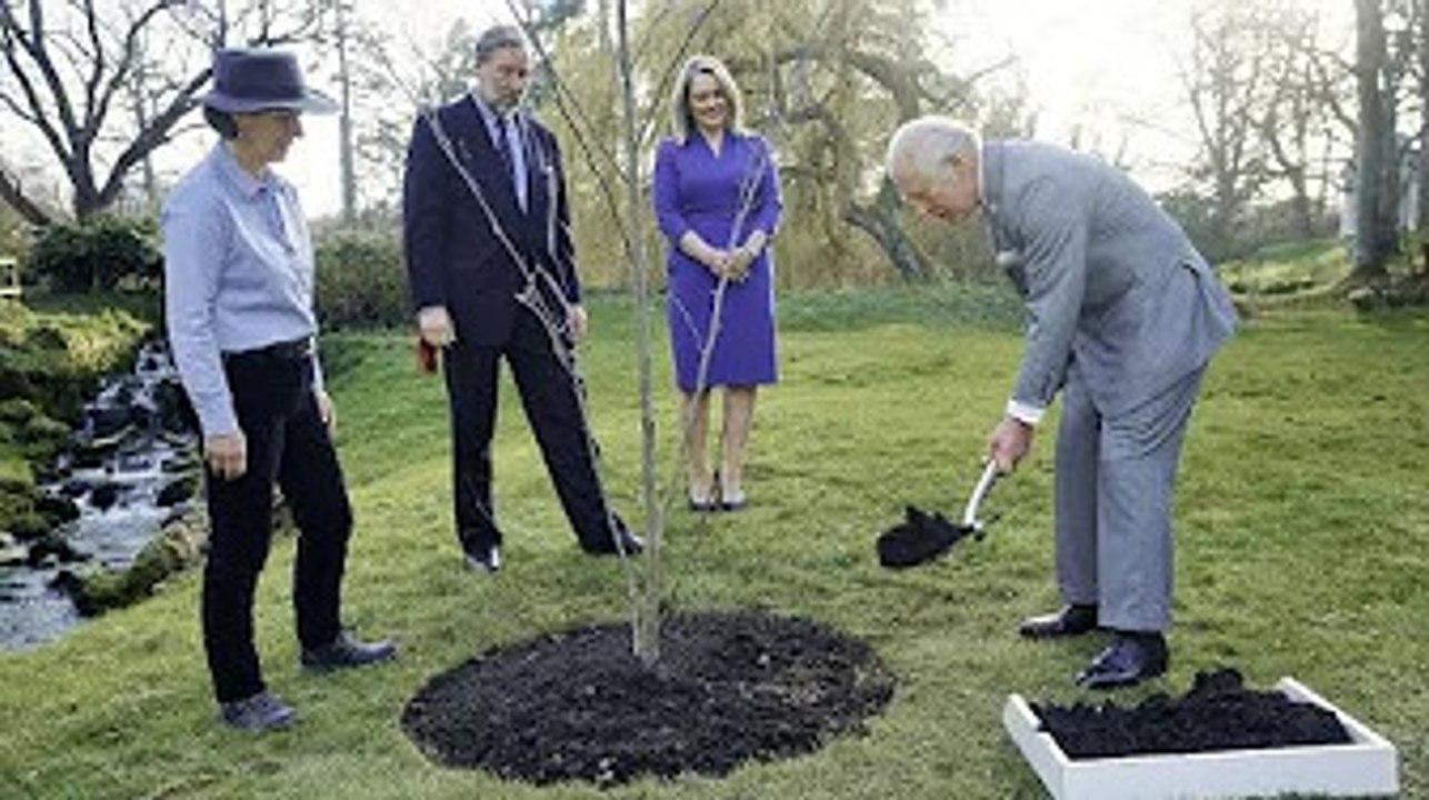 Prince Charles vows to protect historic trees to mark mother's Jubilee