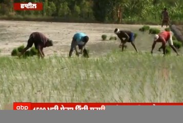 ਝੋਨੇ ਦੀ ਸਿੱਧੀ ਬਿਜਾਈ ਲਈ ਕਿਸਾਨ ਨਹੀਂ ਰਾਜ਼ੀ, 5 ਹਜ਼ਾਰ ਰੁਪਏ ਪ੍ਰਤੀਏਕੜ ਦੀ ਰੱਖੀ ਮੰਗ