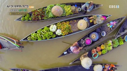 세계테마기행 - 원색의 땅- 최후의 야생, 순다 열도_#003