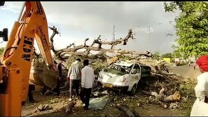 धूलभरी आंधी से मोबाइल कचरा वैन पर गिरा सूखा पेड