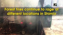 Forest fires continue to rage at different locations in Shimla