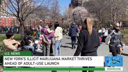 New York’s Illicit Marijuana Market Thrives Ahead of Adult-Use Launch