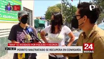 Perrito maltratado se recupera en la comisaría y es atendido por policías y vecinos