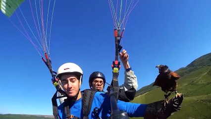 Momentos Increíbles Captados por las Cámaras