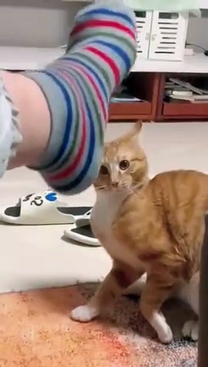 سوف_أستجمع_الشجاعة_الكاملة_أولا_..._هجوم!!_(