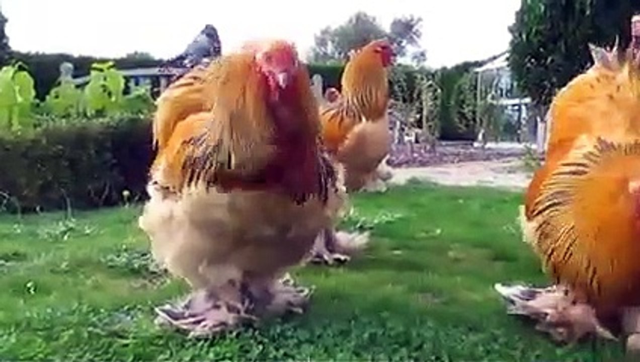 رەحمەتی_خوا_لەوکەسەی_بڵاوی_دەکاتەوە❤️