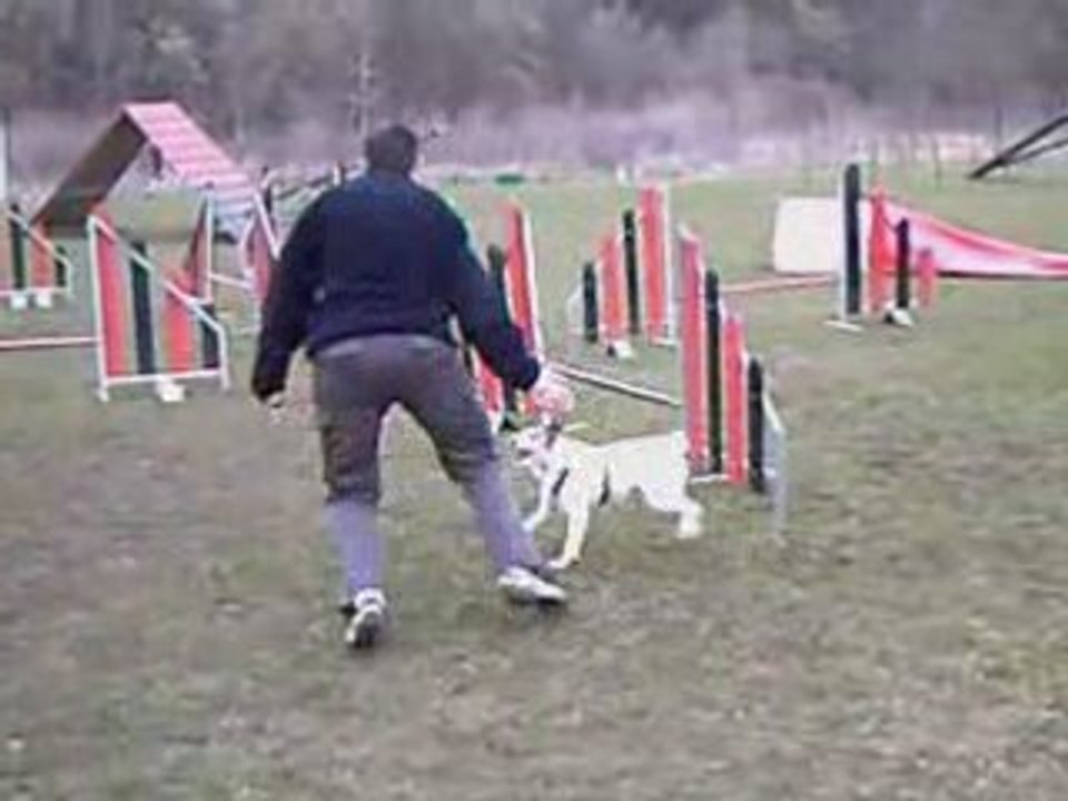 raven en agility