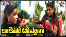 Crow Comes To Girl's Place Daily and Sits At Her Shoulder _ Kerela _ V6 Weekend Teenmaar