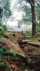 ஓசூர் அருகே அரசு பேருந்து துரத்த முற்படும் ஒற்றை யானையால் பொதுமக்கள் பீதி.