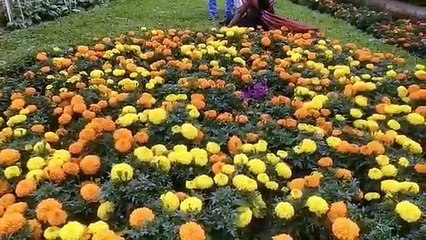 ஹாட் கிளைமேட்டில் ஒரு கூல் நியூஸ்... கொளுத்தும் கோடை வெயிலில் தப்பிக்க ஏற்காட்டில் ஐக்கியமான மக்கள்