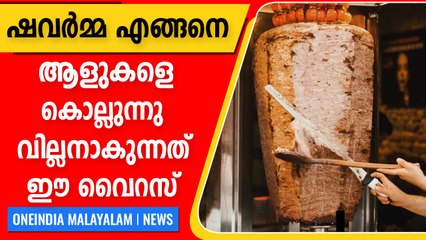 ഷവർമ കഴിക്കാമോ ? എന്തുകൊണ്ട് ഷവർമ കഴിച്ച് മരണം ഉണ്ടായി,അറിയേണ്ടതെല്ലാം