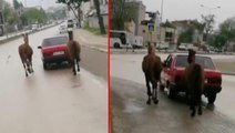 İple bağladığı 2 atı otomobille çeken çeken sürücüye ceza yağdı