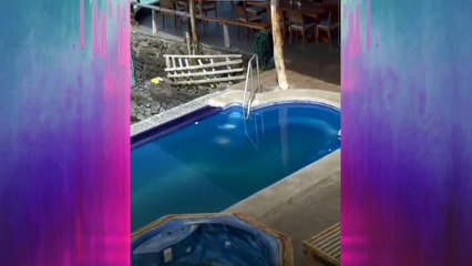 Está foquita sabe lo que es el buen vivir!!! (Mirá el video hasta el final )