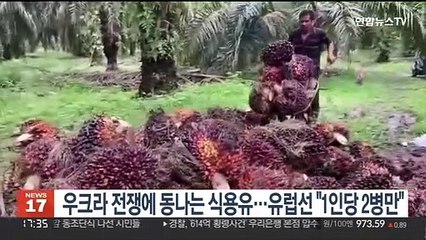 우크라 전쟁에 동나는 식용유…유럽선 "1인당 2병만"